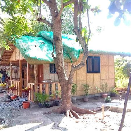 Traditional Filipino Transient House And Huts Near 100 Islands Wharf 阿拉米诺斯 外观 照片