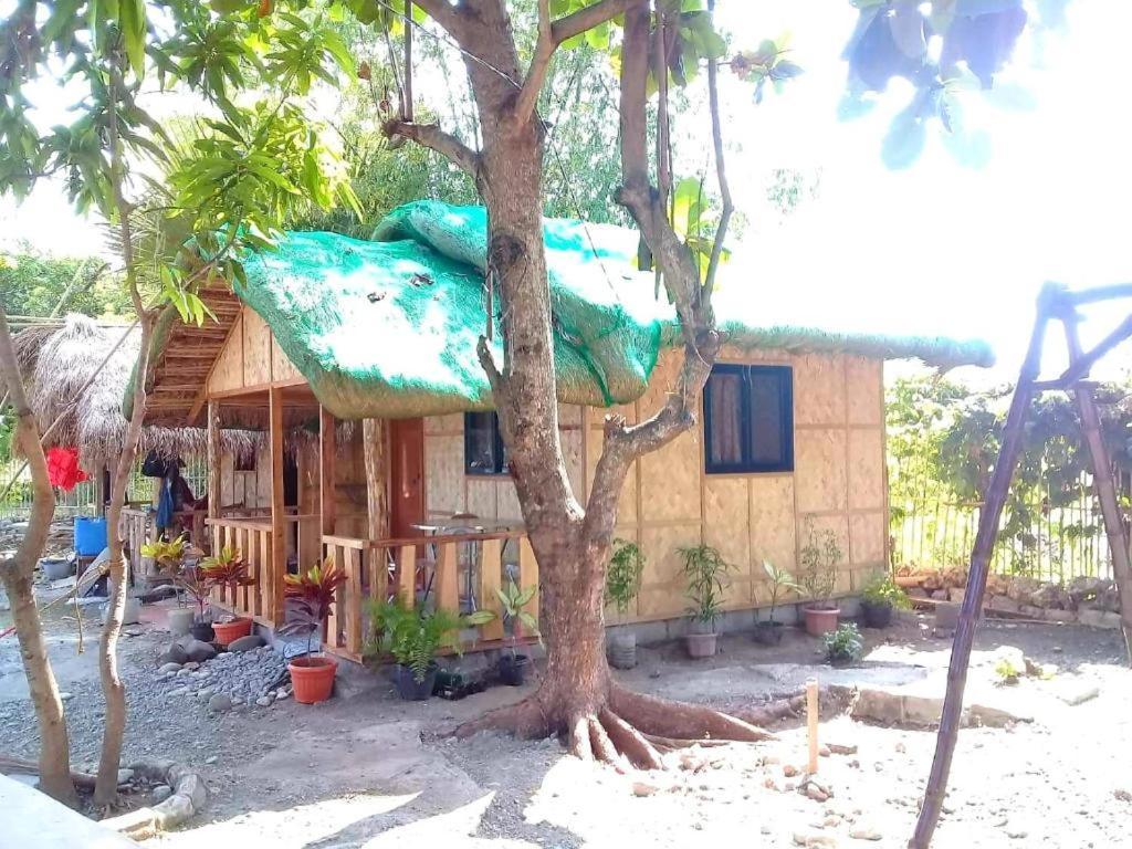 Traditional Filipino Transient House And Huts Near 100 Islands Wharf 阿拉米诺斯 外观 照片