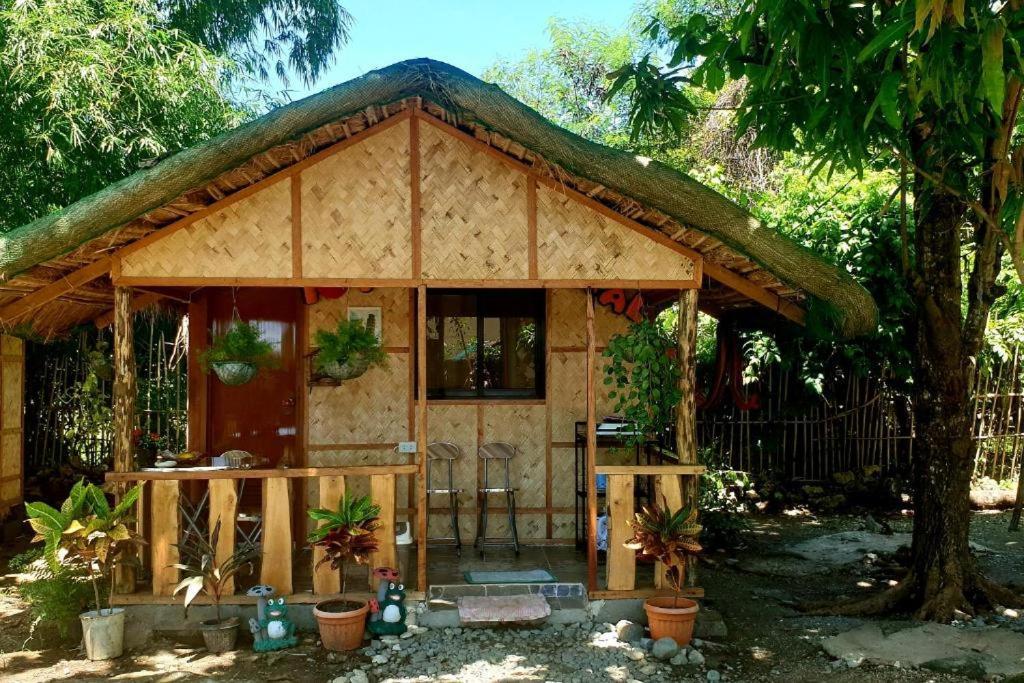 Traditional Filipino Transient House And Huts Near 100 Islands Wharf 阿拉米诺斯 外观 照片