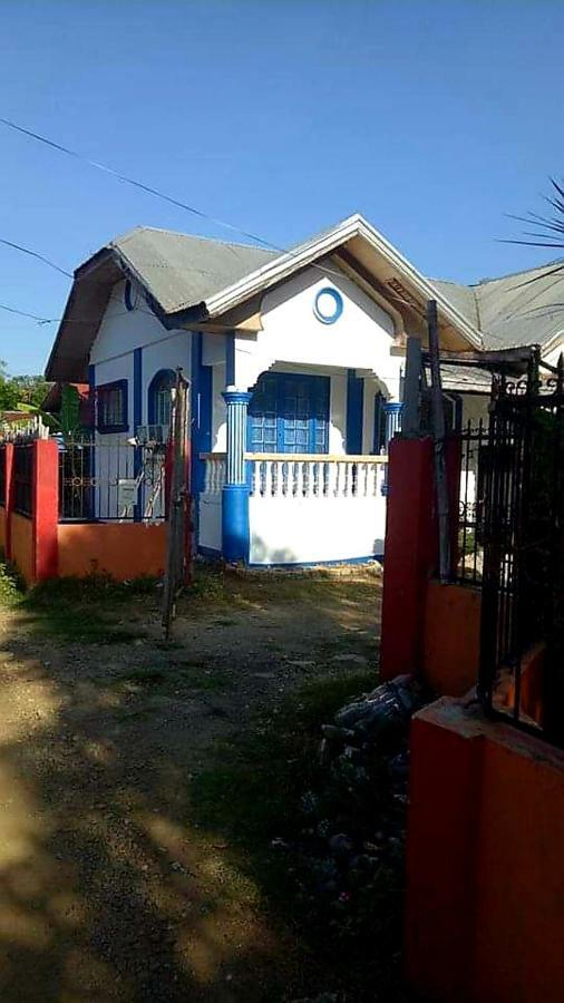 Traditional Filipino Transient House And Huts Near 100 Islands Wharf 阿拉米诺斯 外观 照片